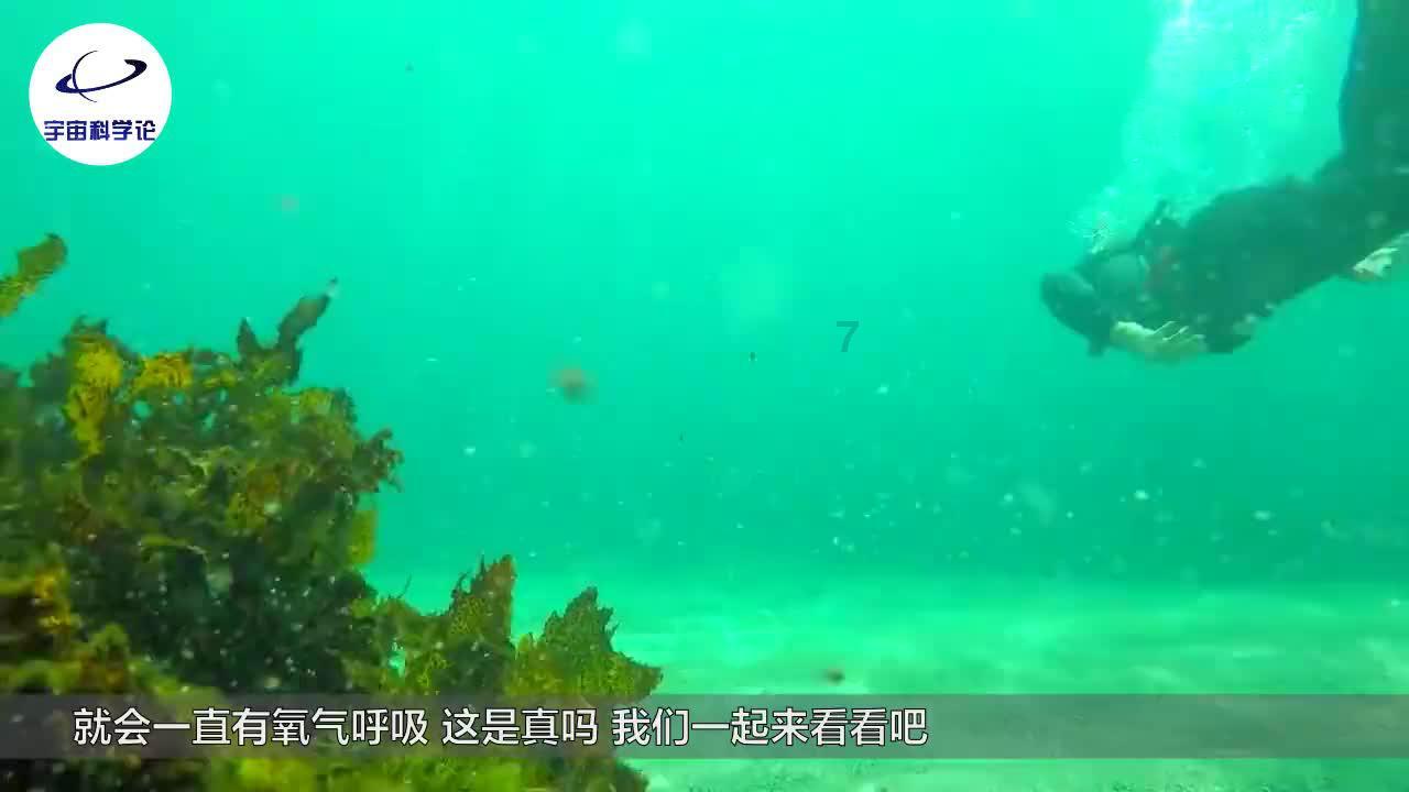 直升机大战